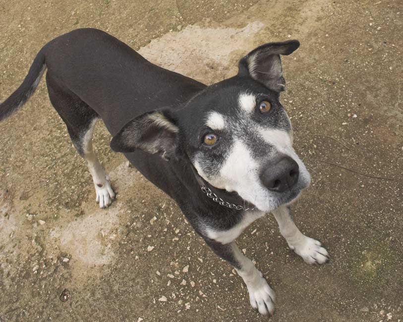 Photographie par maxsch pour DesignCrowd (Community Contests) | Design #9006375