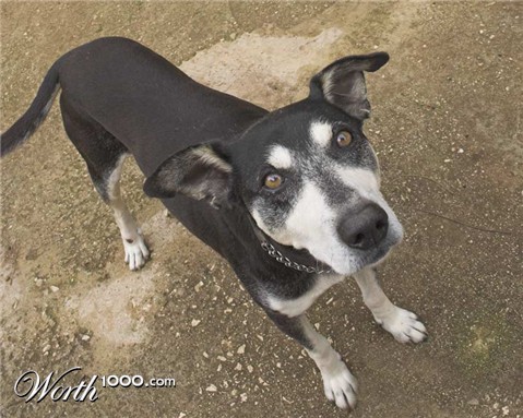 Photography by maxsch