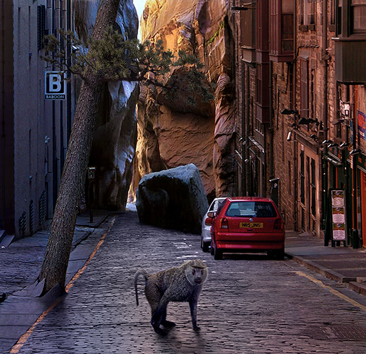 Photoshop-Design von irishbryan für DesignCrowd (Community Contests) | Design #9003581