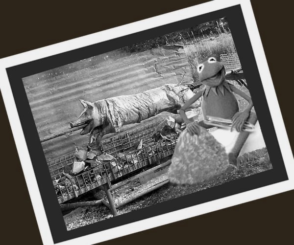 Photoshop Design by LadyHawk771 for DesignCrowd (Community Contests) | Design #9009141