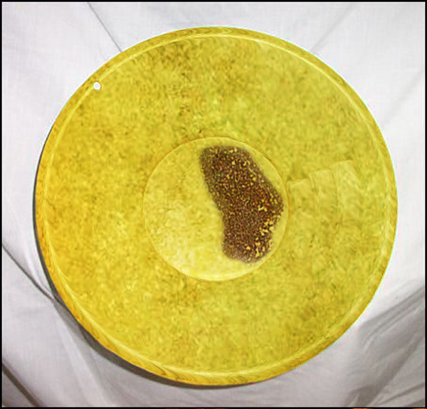 Photoshop Design by lordgilamesh for DesignCrowd (Community Contests) | Design #9008987