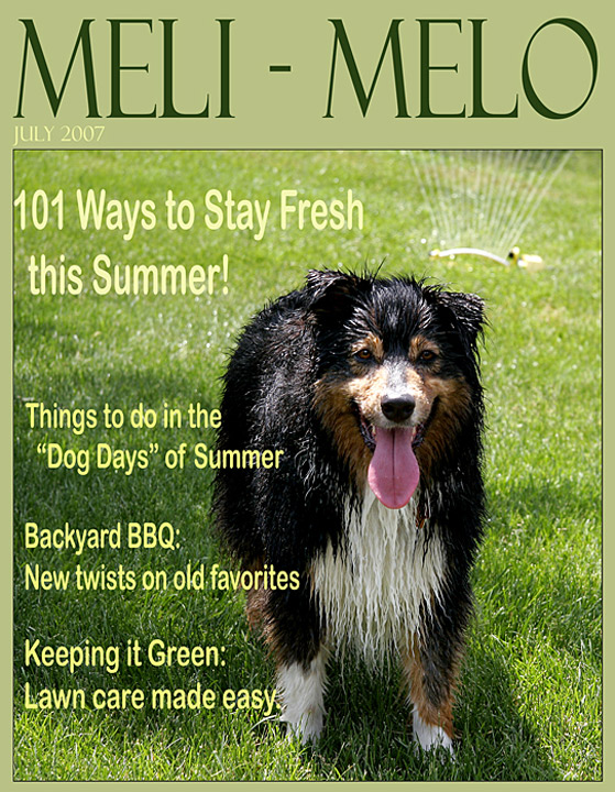 Fotografie von lilmart für DesignCrowd (Community Contests) | Design #9007026