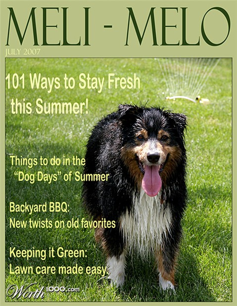 Photography by lilmart