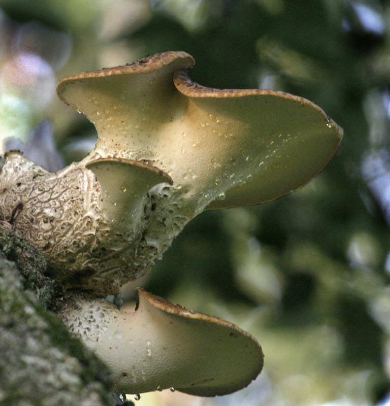 Photography by rdchdwck for DesignCrowd (Community Contests) | Design #9008431