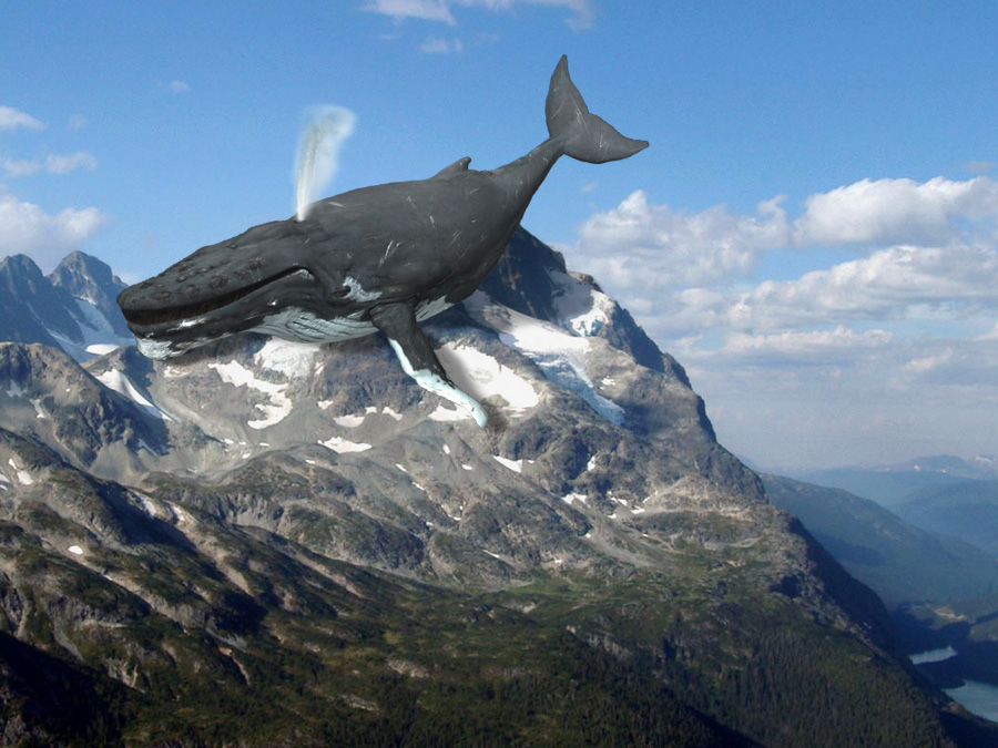 Photoshop Design by tanwal for DesignCrowd (Community Contests) | Design #9008015