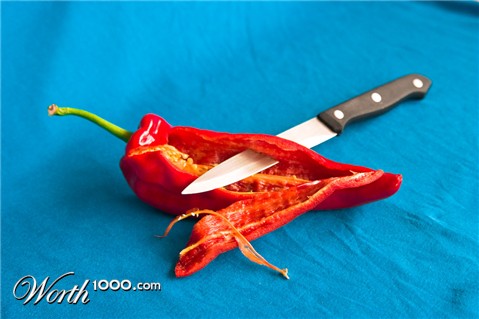 Photography by kvdveer