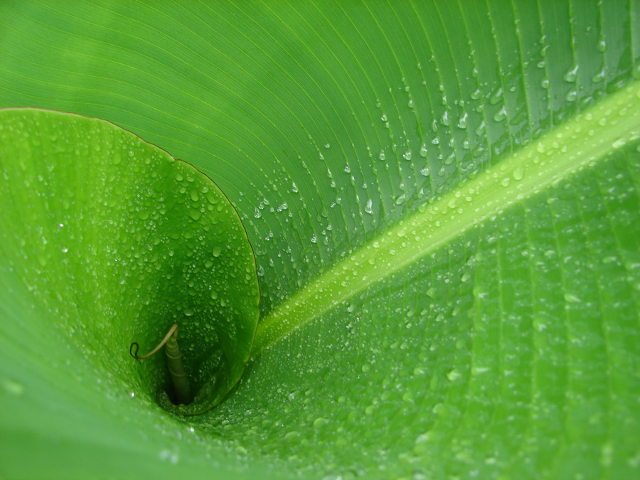 Photography by bigevil600 for DesignCrowd (Community Contests) | Design #9008439