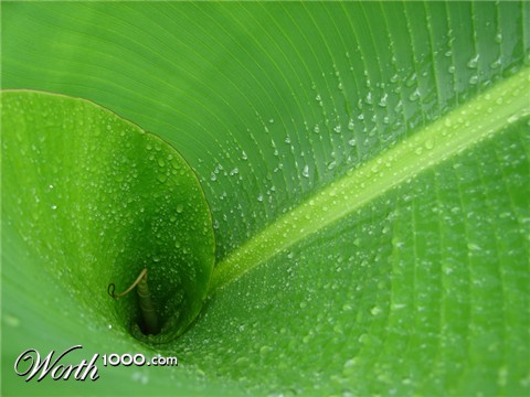 Photography by bigevil600