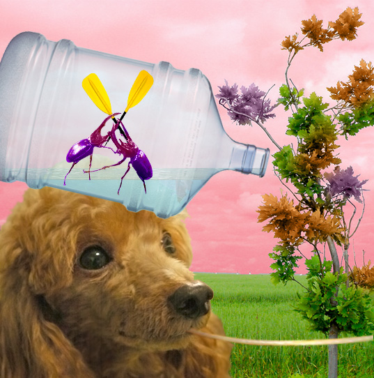 Photoshop Design by charissamas for DesignCrowd (Community Contests) | Design #9008036