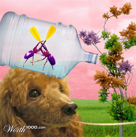 Photoshop Design by charissamas