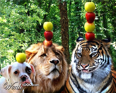 Photoshop Design by Koosricardo