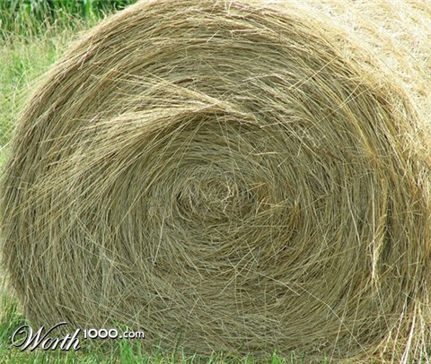 Photography by timpeeler37