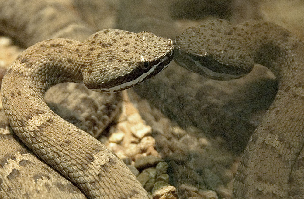 Photography by cshutt for DesignCrowd (Community Contests) | Design #9012854