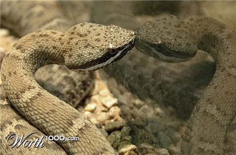 Photography by cshutt