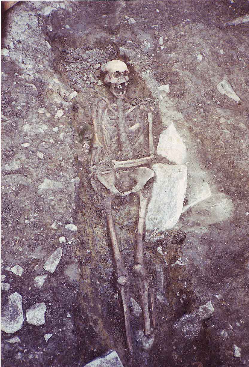 Photoshop Design by dungbeetle for DesignCrowd (Community Contests) | Design #9006294