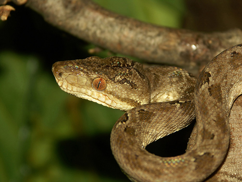 Fotografie von Rouwkema für DesignCrowd (Community Contests) | Design #9012871