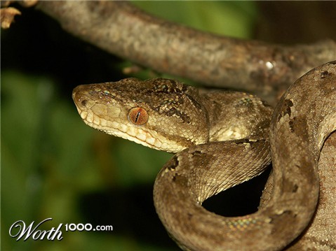 Photography by Rouwkema