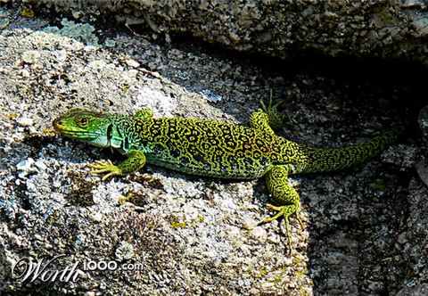 Photography by alicina