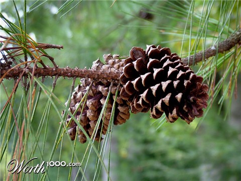 Photography by nedradio