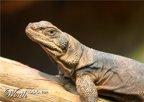 Photography by drdonallen