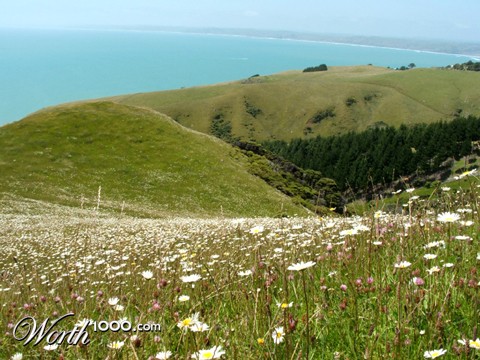 Photography by nzkiwi