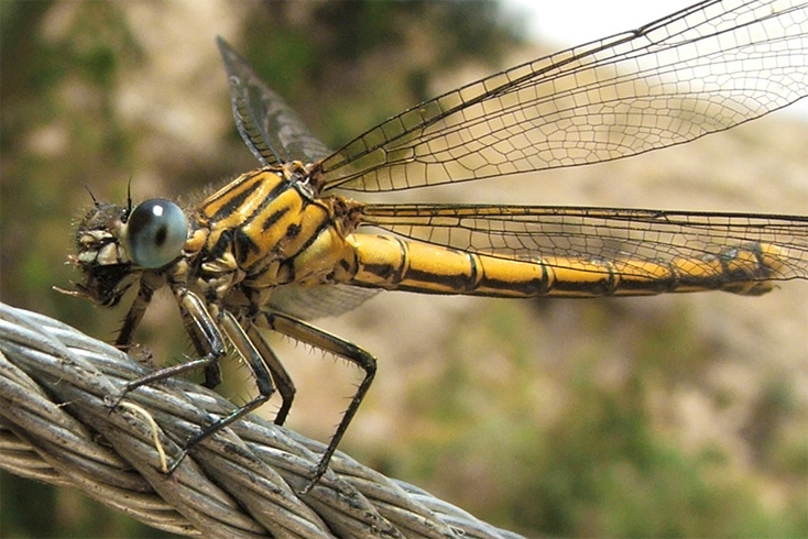 Photography by GreyElf for DesignCrowd (Community Contests) | Design #9004575