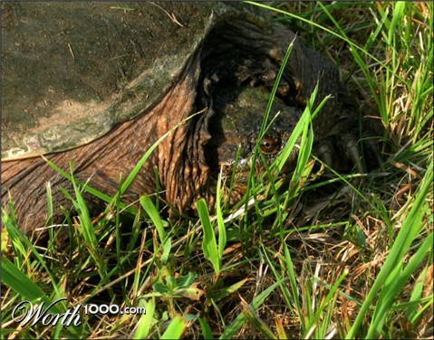 Photography by spincast1123