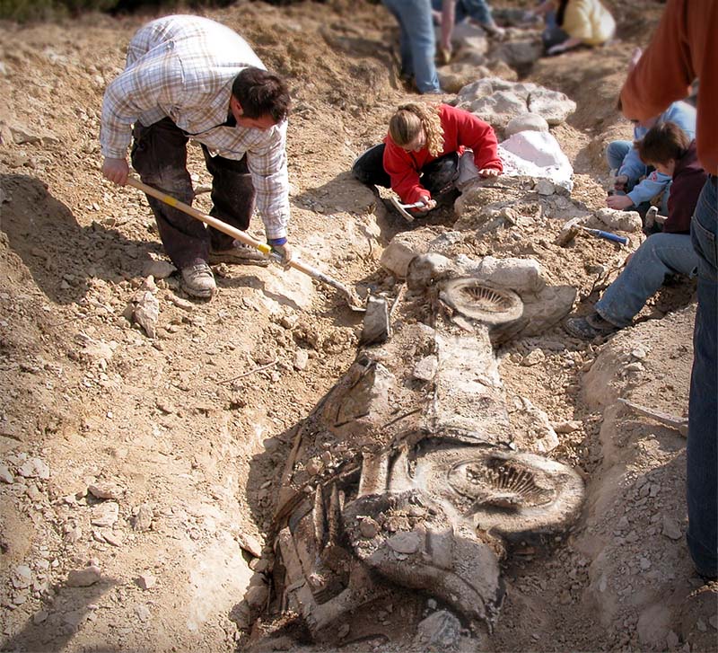 Photoshop Design by eahullqu for DesignCrowd (Community Contests) | Design #9006446