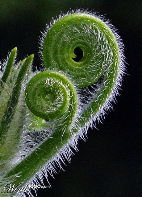 Photography by itsmineillshare