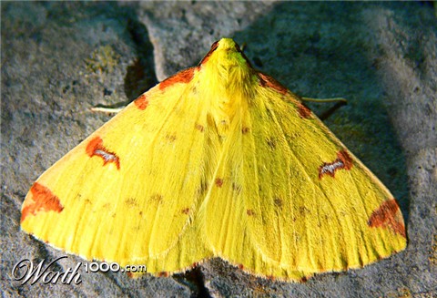 Photography by alicina