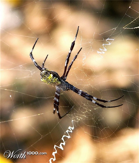 Photography by drewciferpics