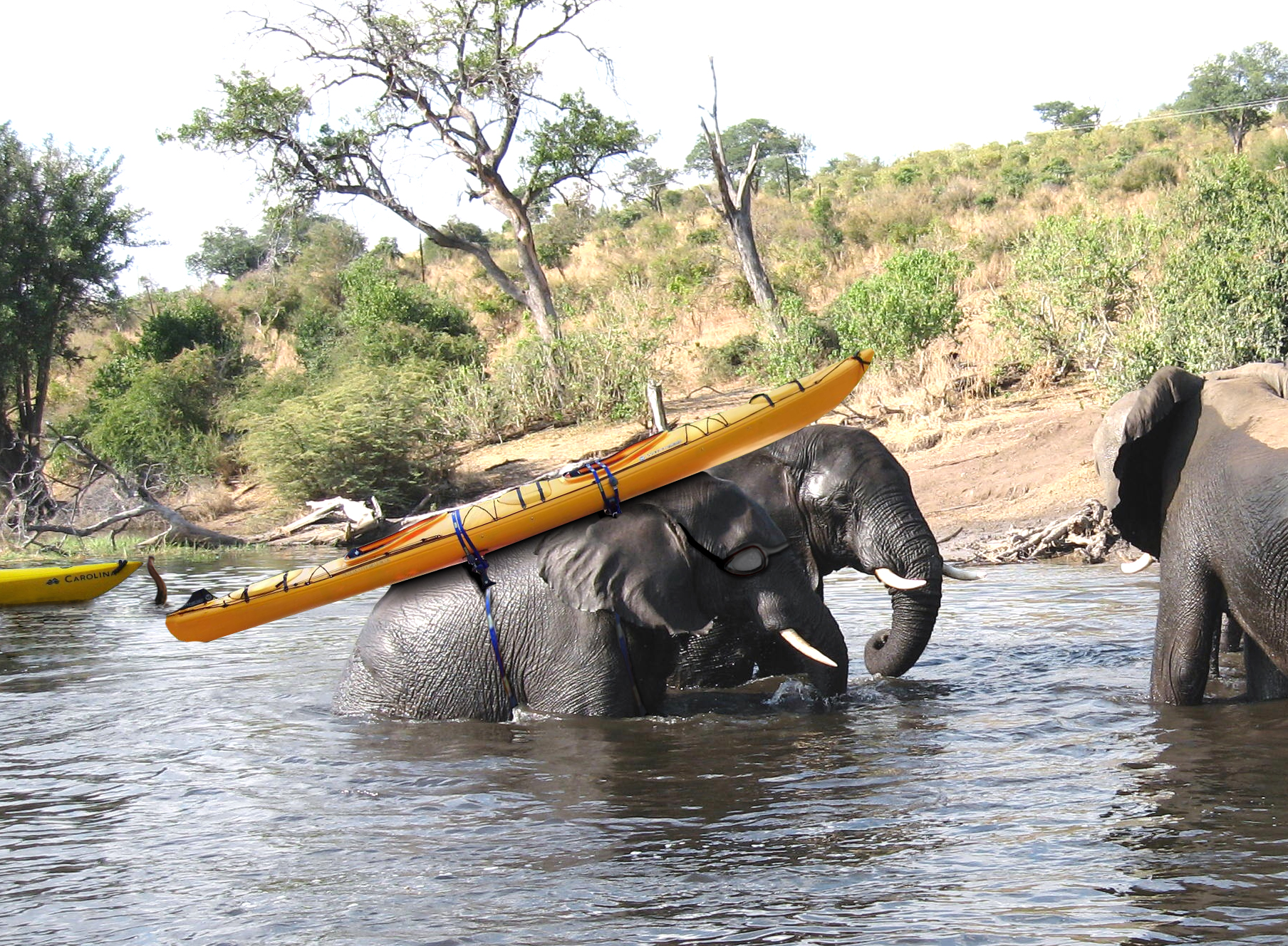 Diseño de Photoshop por maximusmark para DesignCrowd (Community Contests) | Diseño #9003501