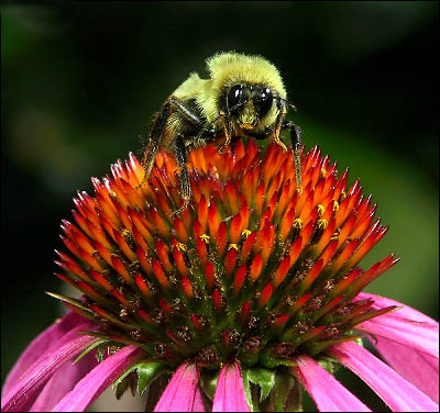 Photography by snowboarderjake for DesignCrowd (Community Contests) | Design #9004653