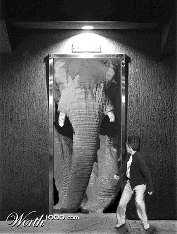 Photoshop Design by Qofcheez