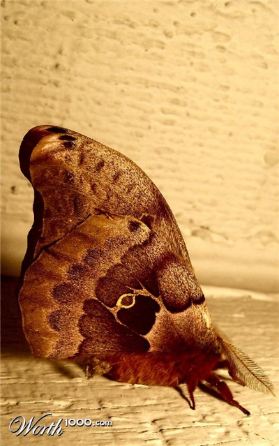 Photography by cassieniccole