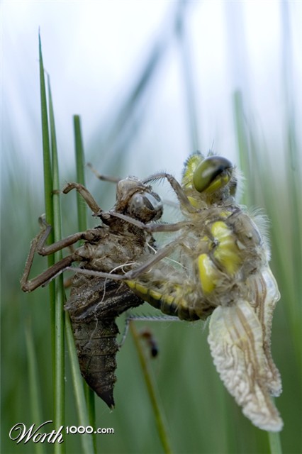 Photography by Marian