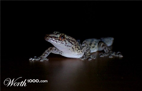 Photography by steveNewby