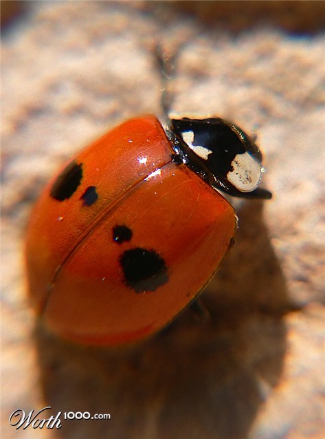 Photography by jandreu