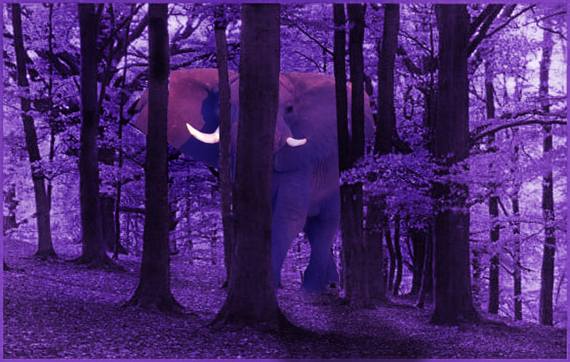 Design Photoshop par alicina pour DesignCrowd (Community Contests) | Design #9003515