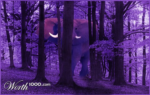 Photoshop Design by alicina