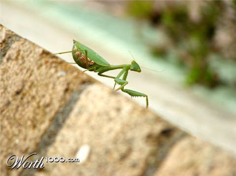 Photography by nzkiwi