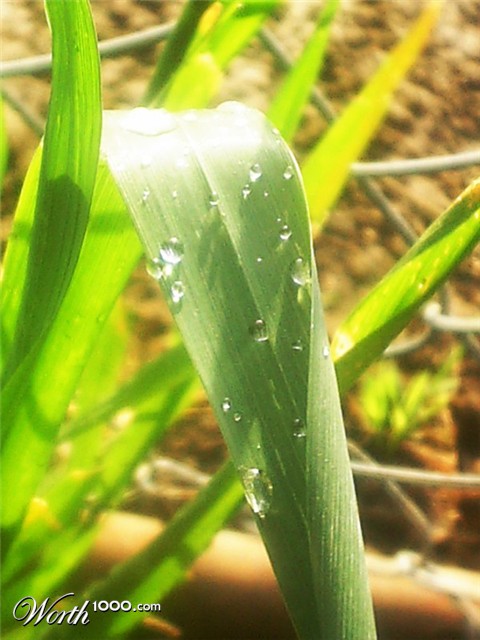 Photography by liberty2007crusader