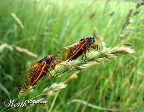 Photography by spincast1123