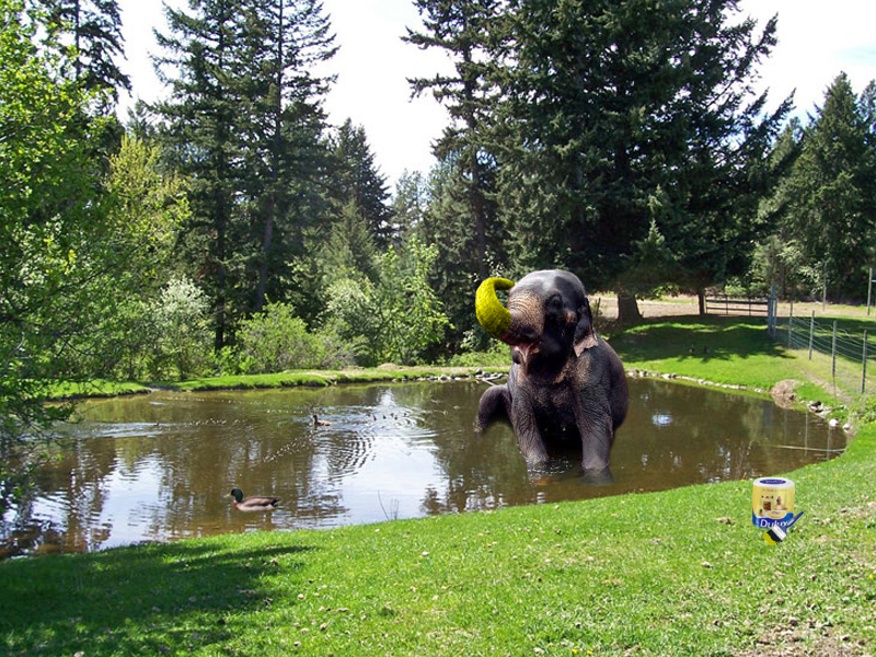 Photoshop-Design von WiseMonkey für DesignCrowd (Community Contests) | Design #9003535