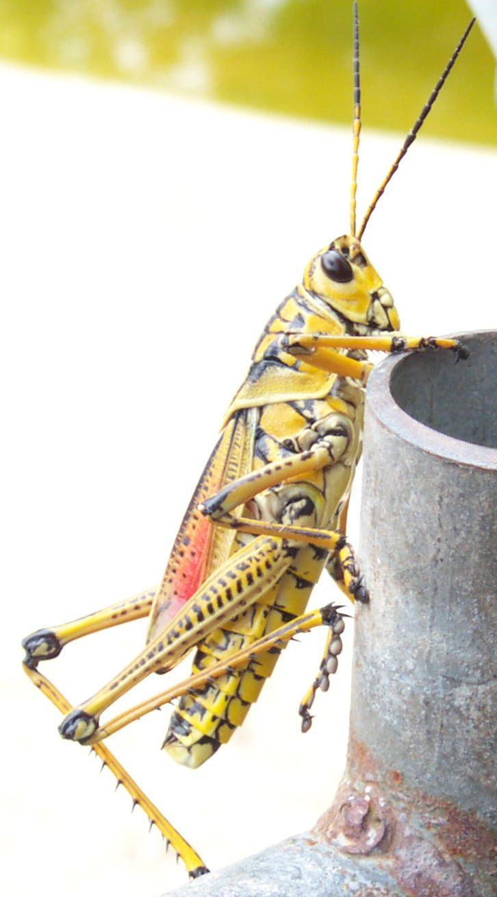 Photography by Schapie for DesignCrowd (Community Contests) | Design #9004672