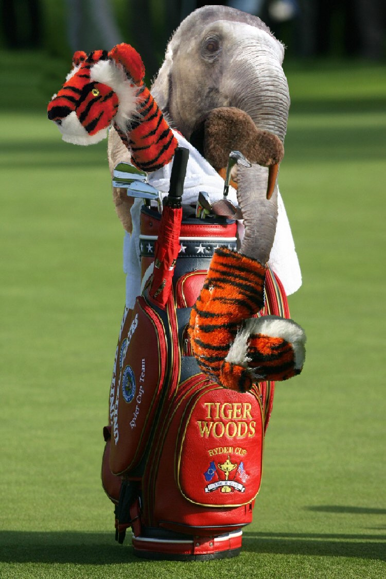 Photoshop-Design von Fishwife für DesignCrowd (Community Contests) | Design #9003533