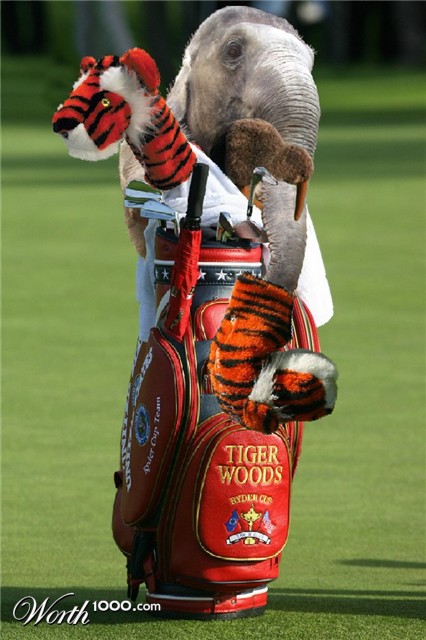 Photoshop Design by Fishwife