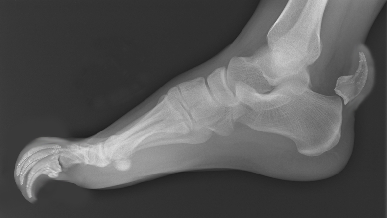 Photoshop-Design von pmetzga für DesignCrowd (Community Contests) | Design #9010351