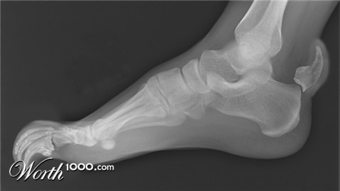 Photoshop Design by pmetzga