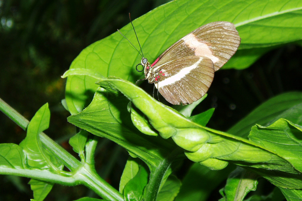 Photography by run71324 for DesignCrowd (Community Contests) | Design #9004734